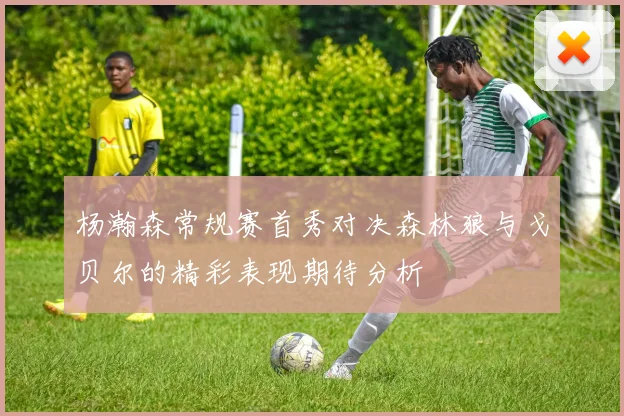 杨瀚森常规赛首秀对决森林狼与戈贝尔的精彩表现期待分析